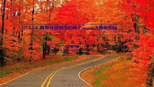 九年级数学下册第27章图形的相似27.2相似三角形27.2.1.4两角分别相等的两个三角形相似
