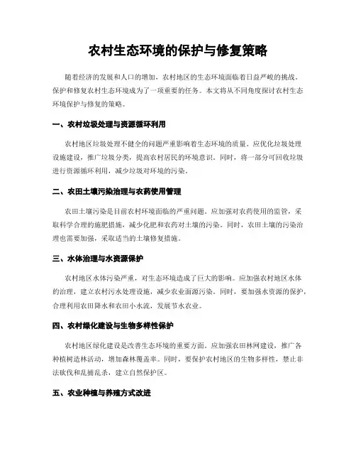 农村生态环境的保护与修复策略