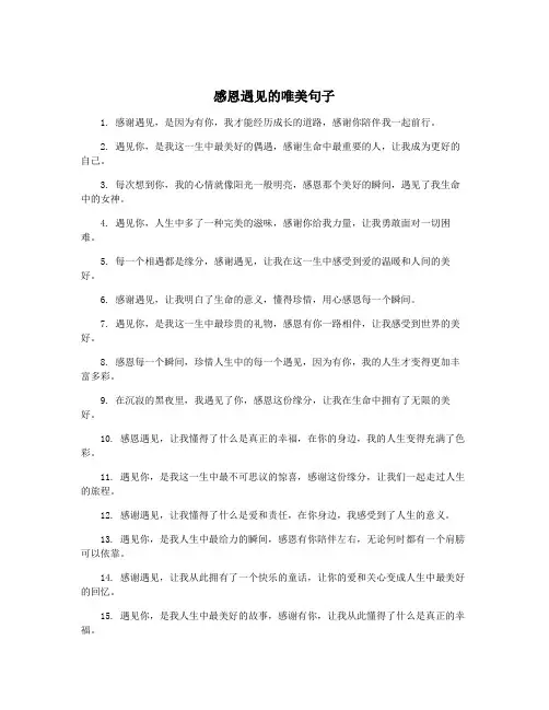 感恩遇见的唯美句子