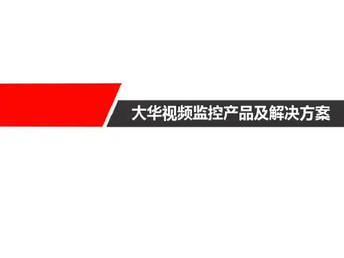大华视频监控产品及解决方案