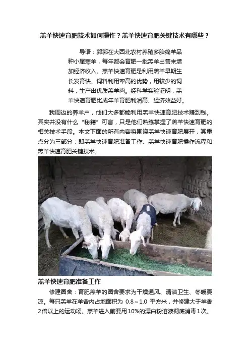 羔羊快速育肥技术如何操作？羔羊快速育肥关键技术有哪些？