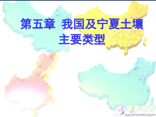 第4章我国及宁夏主要土壤类型(第3、4节)2013素材