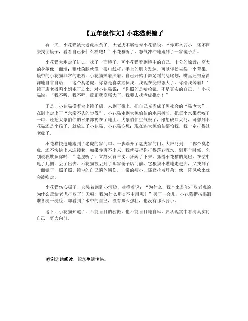 【五年级作文】小花猫照镜子