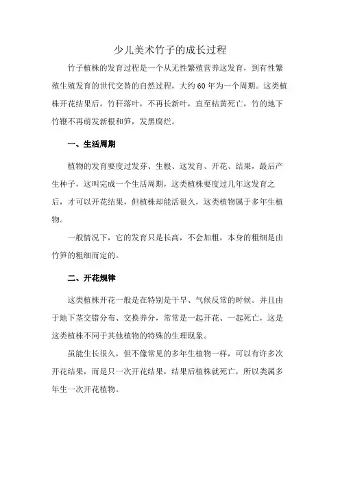 少儿美术竹子的成长过程