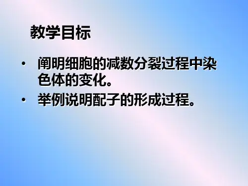 减数分裂ppt25优秀课件