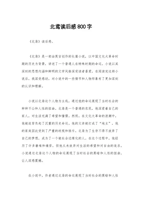 北鸢读后感800字