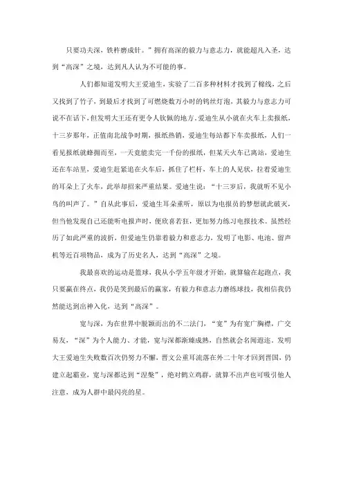 勇气坚韧毅力的作文