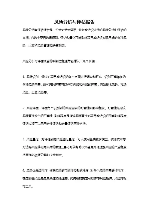 风险分析与评估报告