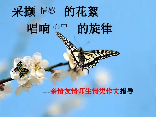中考情感类作文指导ppt课件