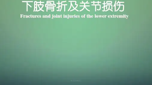 下肢骨折及关节损伤ppt课件