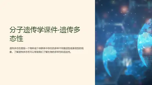 分子遗传学课件-遗传多态性