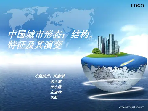 中国城市形态：结构、特点与其演变