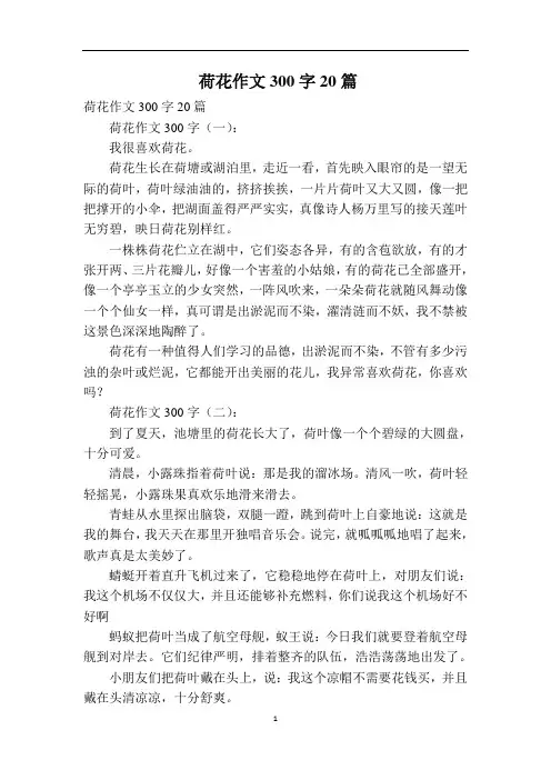 荷花作文300字20篇