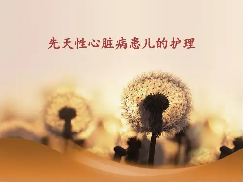 先天性心脏病患儿的护理PPT课件