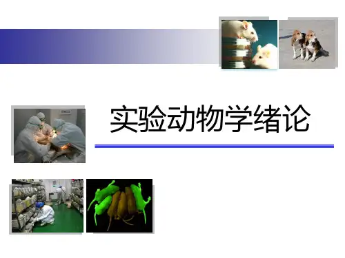 实验动物学(462页PPT课件)