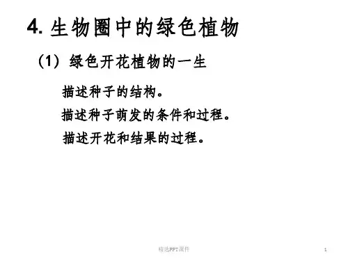复习绿色开花植物的一生ppt课件