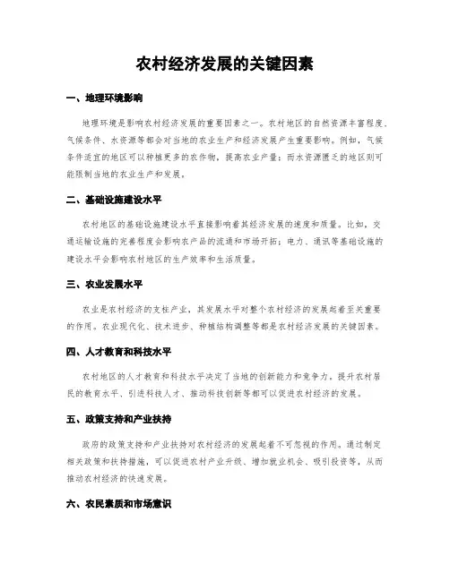 农村经济发展的关键因素