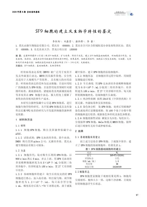 SF9细胞的建立及生物学特性的鉴定