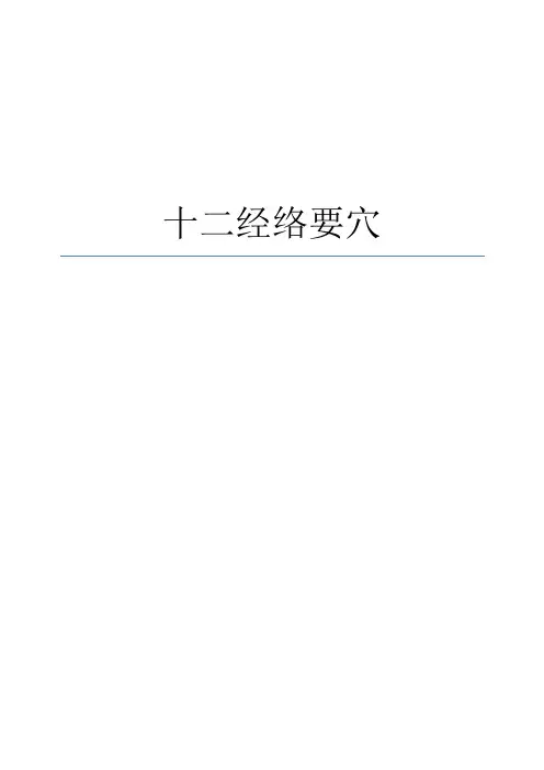 人体十二条经络全图