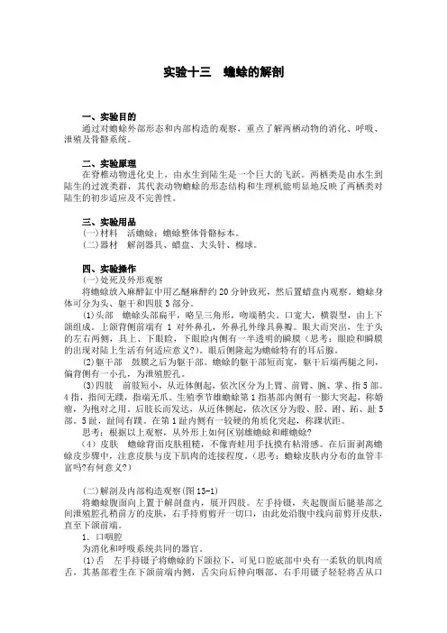 实验13蟾蜍的解剖_基础生物学实验(安徽大学研究生复试用,生物 生命科学)