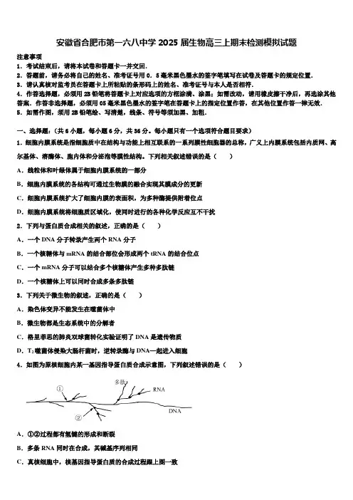 安徽省合肥市第一六八中学2025届生物高三上期末检测模拟试题含解析