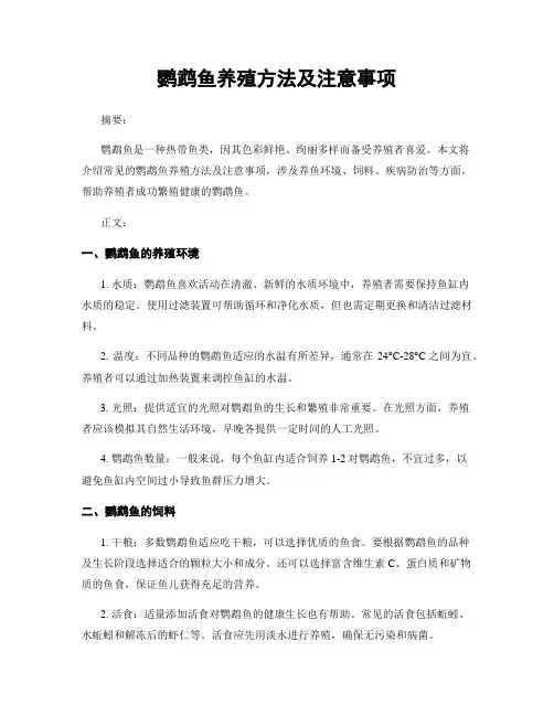 鹦鹉鱼养殖方法及注意事项