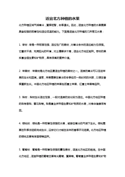 适宜北方种植的水果