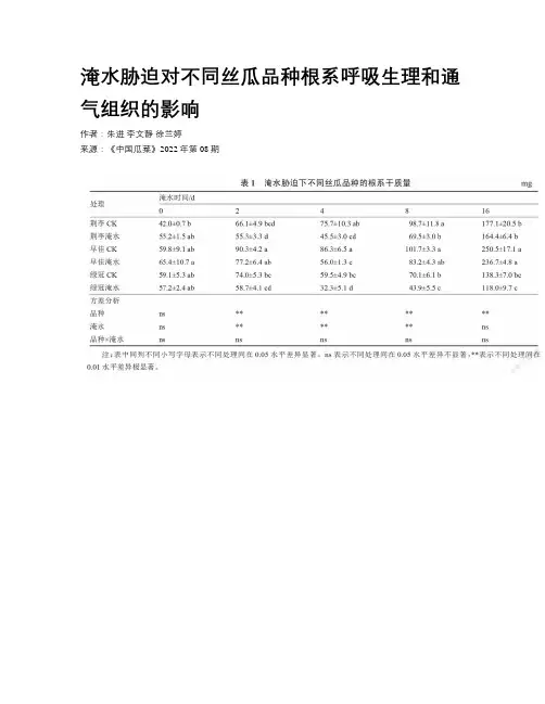 淹水胁迫对不同丝瓜品种根系呼吸生理和通气组织的影响
