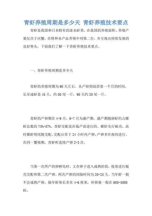 青虾养殖周期是多少天 青虾养殖技术要点