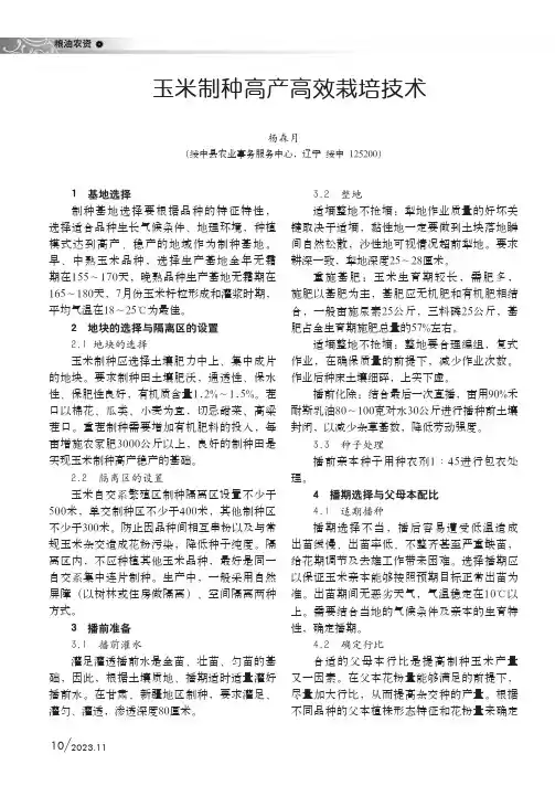 玉米制种高产高效栽培技术
