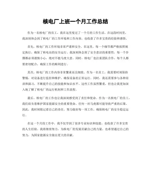 核电厂上班一个月工作总结