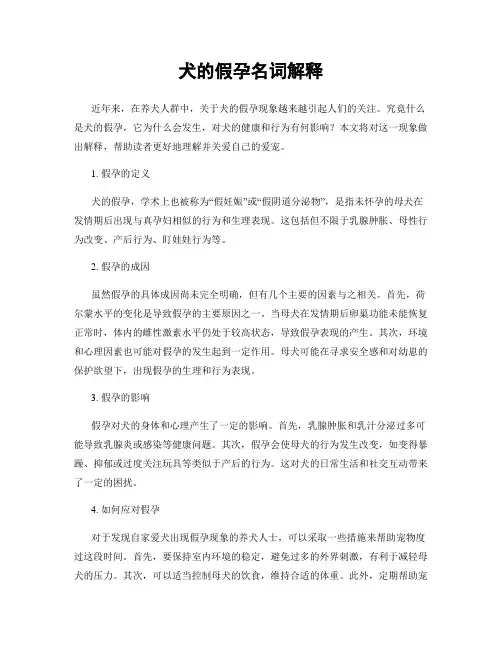犬的假孕名词解释