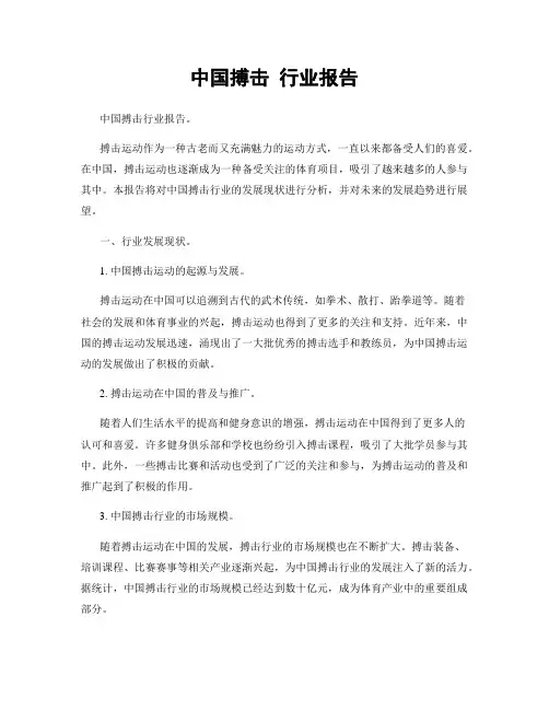 中国搏击 行业报告
