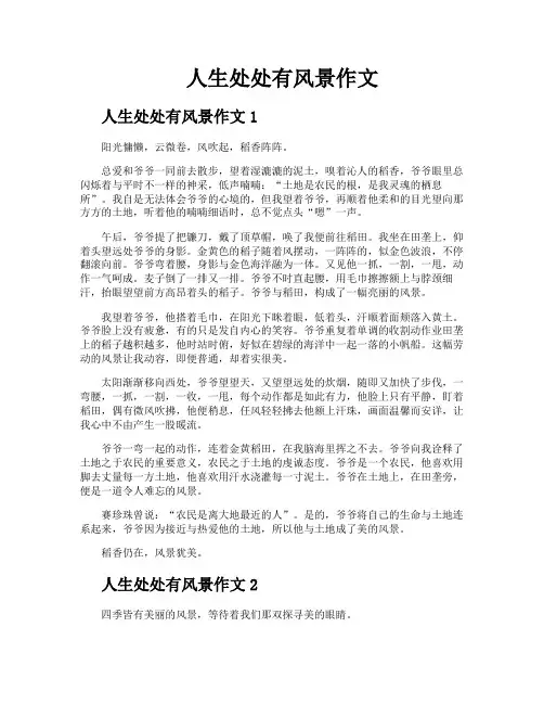 人生处处有风景作文