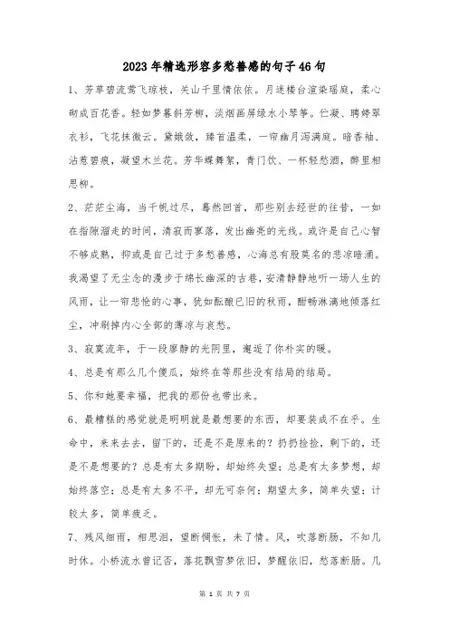 2023年精选形容多愁善感的句子46句