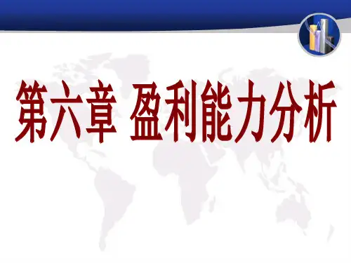 第六章 盈利能力分析