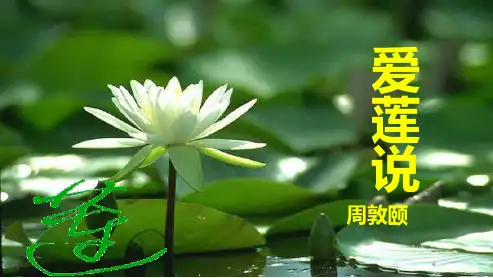 人教版八年级语文上册《爱莲说》教学ppt优质课件