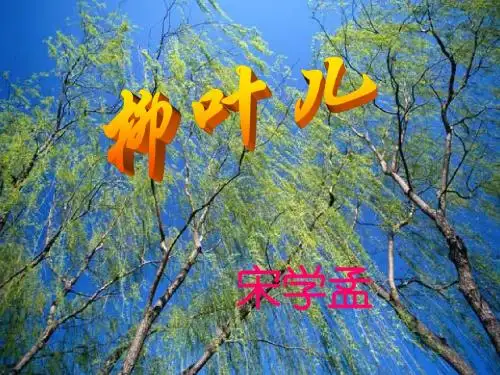 柳叶儿公开课课件