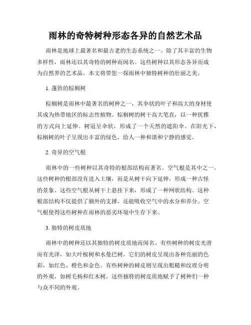 雨林的奇特树种形态各异的自然艺术品