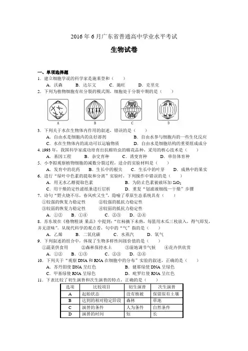 2016年6月广东省普通高中学业水平考试   生物(试卷和答案)