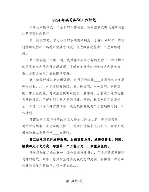 2024年实习实训工作计划（二篇）