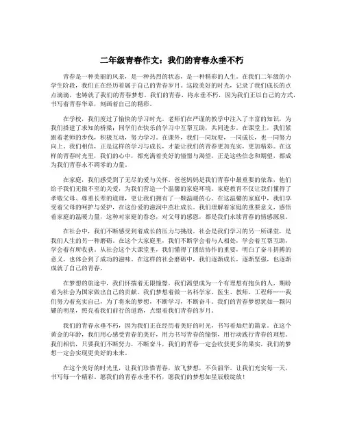 二年级青春作文：我们的青春永垂不朽