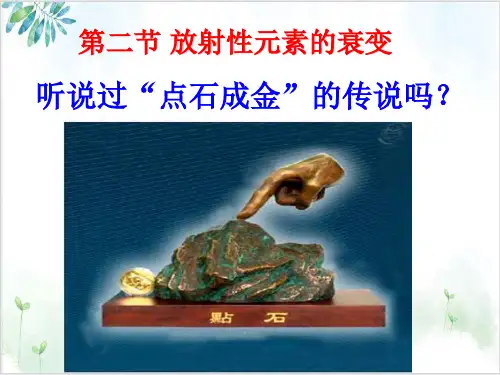 人教版高中物理选修3-51放射性元素的衰变课件(14页)-PPT优秀课件