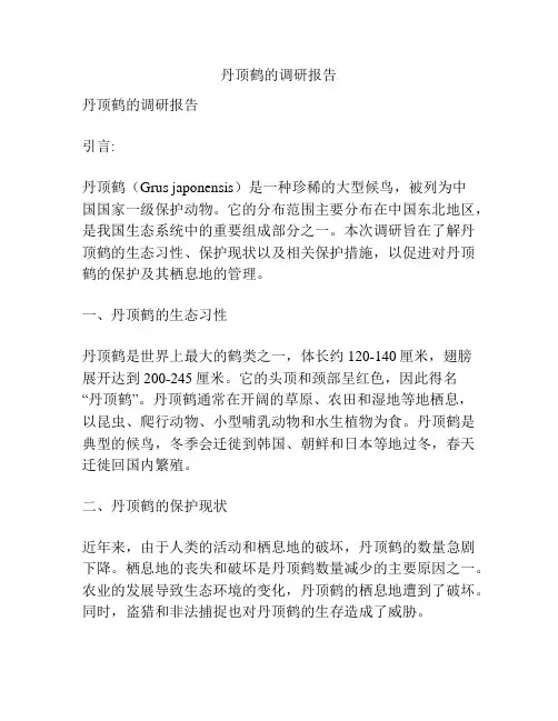 丹顶鹤的调研报告