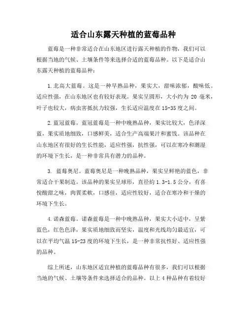 适合山东露天种植的蓝莓品种