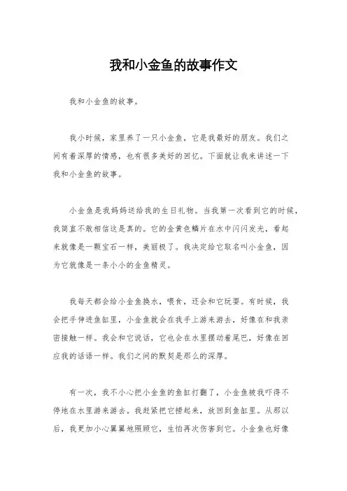 我和小金鱼的故事作文