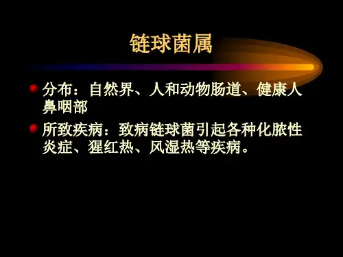 链球菌属课件