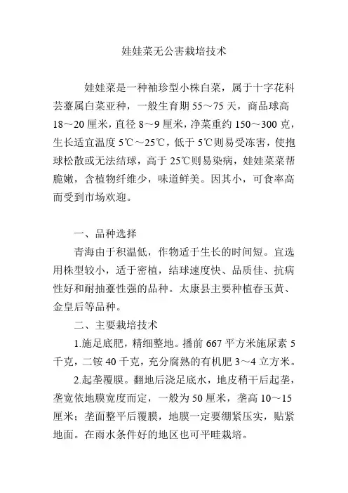 娃娃菜无公害栽培技术