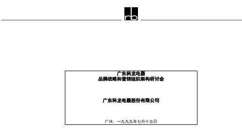科龙电器品牌战略和营销组织探讨(ppt 43页)
