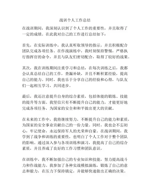 战训个人工作总结